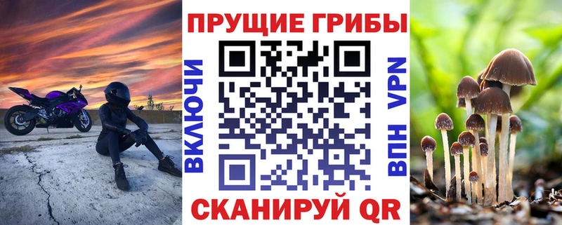 Галлюциногенные грибы GOLDEN TEACHER  Черемхово 